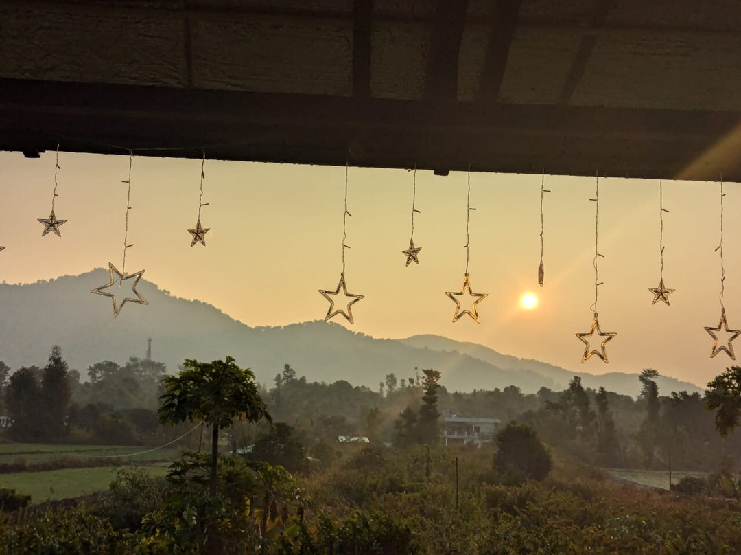 Forest Side Farm主图