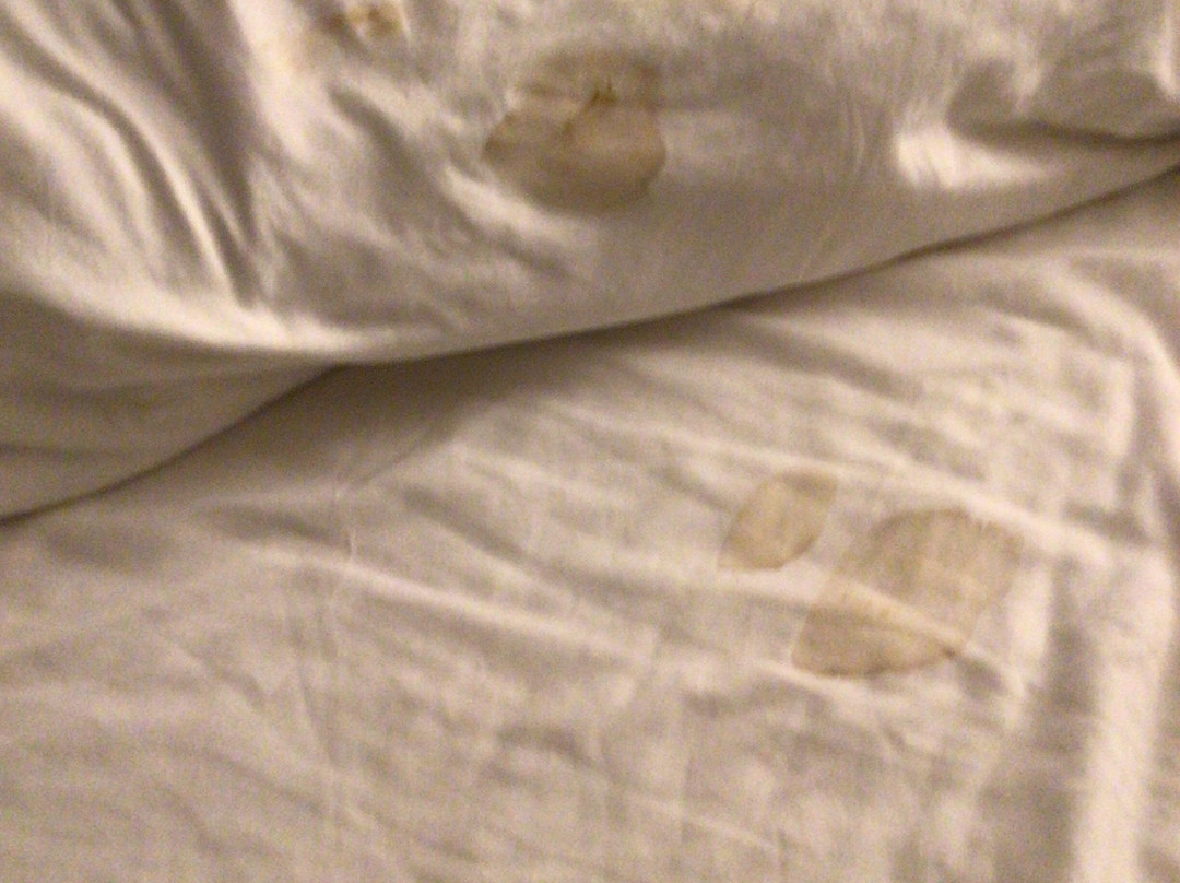 Stonecroft Inn主图