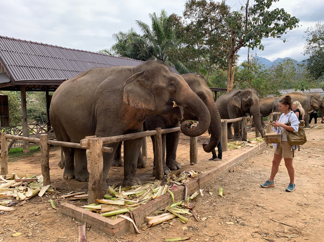 劳斯伯瑞克假村主图