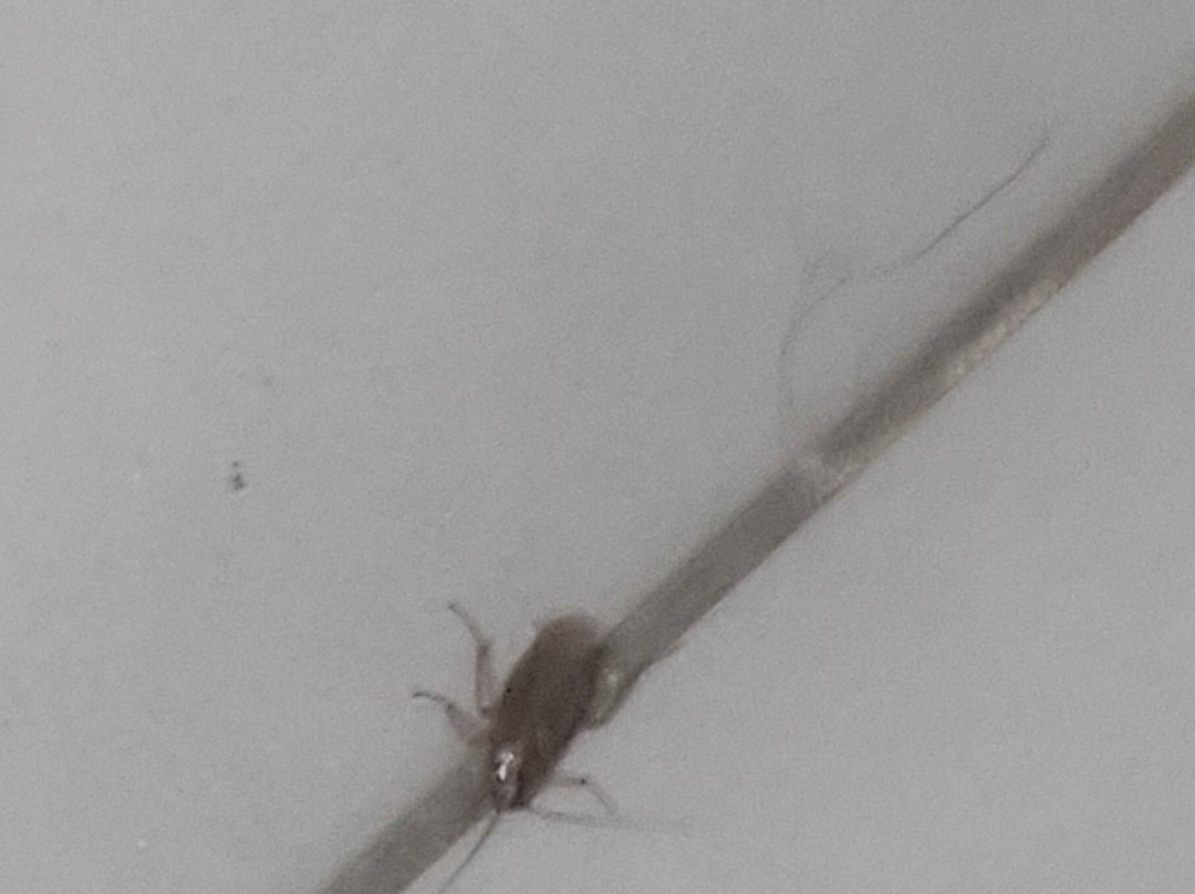 Dan Inn Sorocaba主图