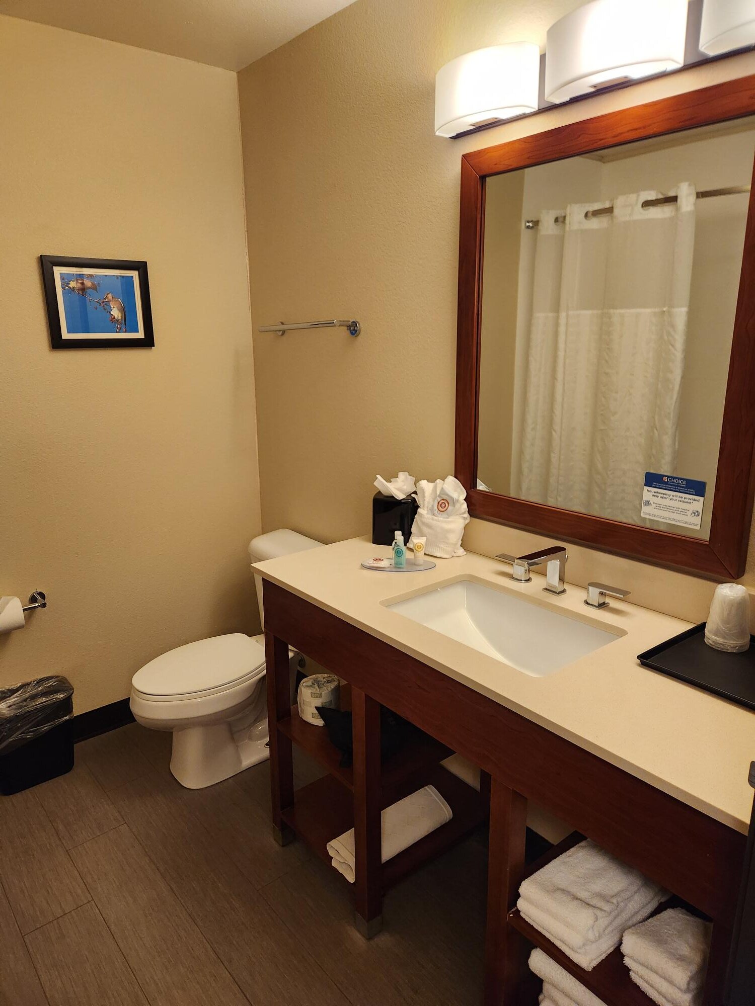 Comfort Inn & Suites near ISU Campus-浴室