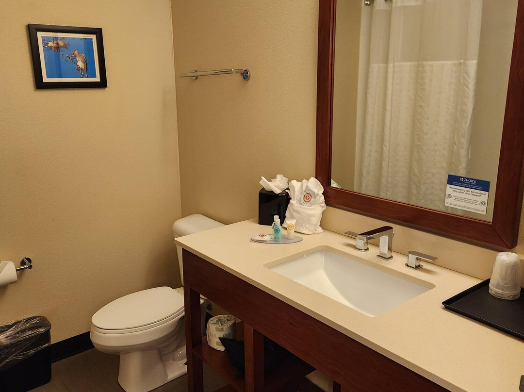 Comfort Inn & Suites near ISU Campus主图