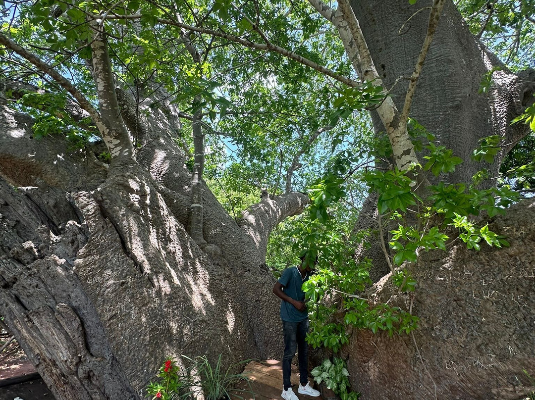 Gouruka excusions zanzibar & safaris measure-Pwani Mchangani必去景点