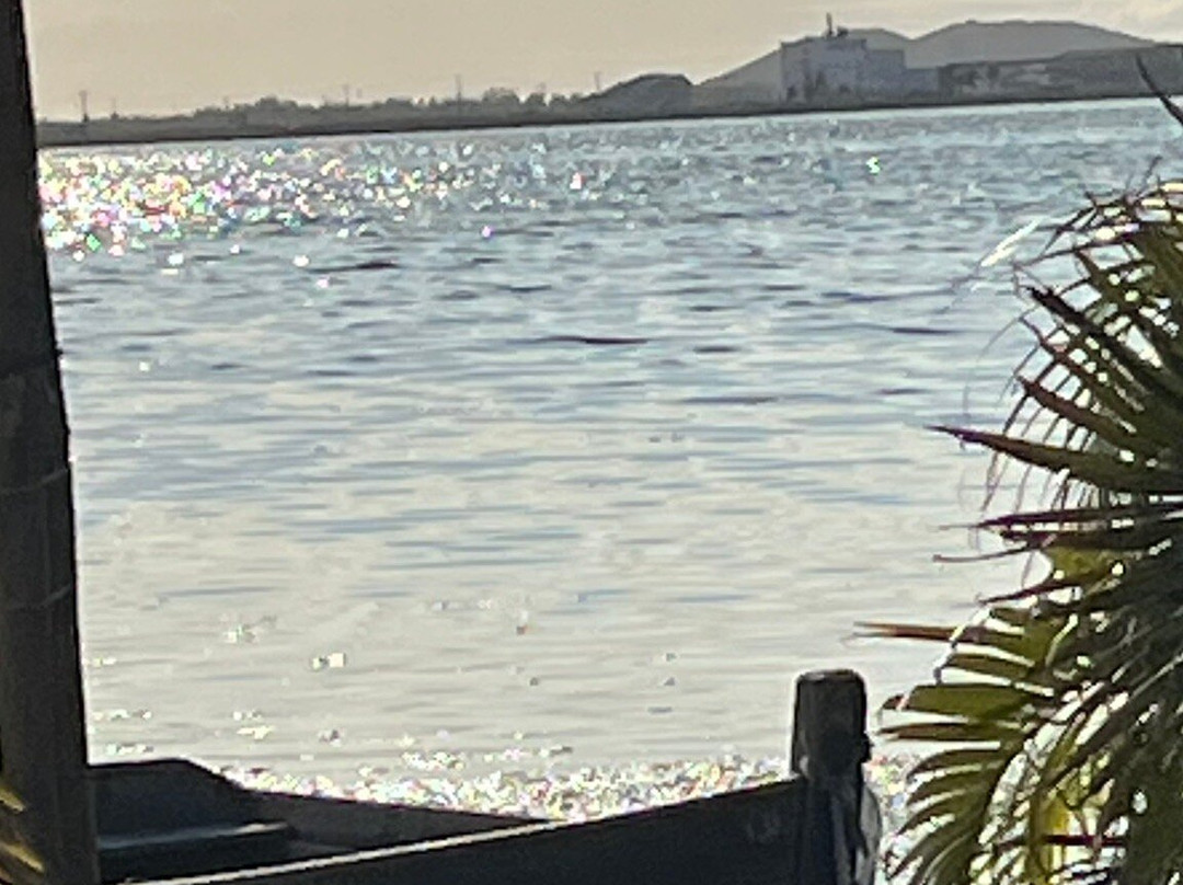 Siqueira Beach-卡布弗里乌必去景点