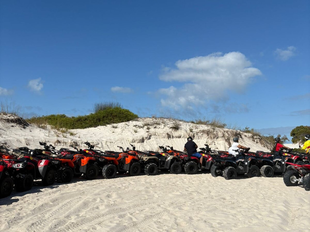 WildX Adventures Atlantis White Sand Dunes-开普敦中心区必去景点