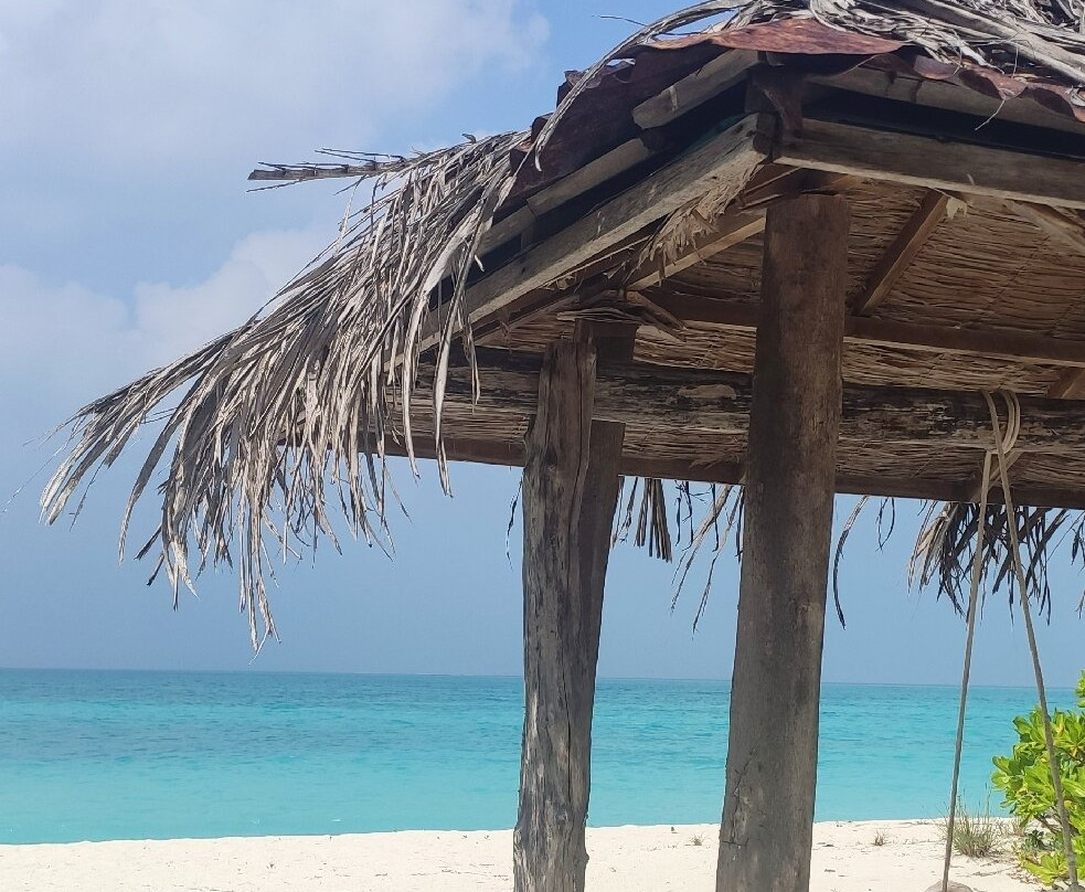 Oceano Beach Vashafaru主图