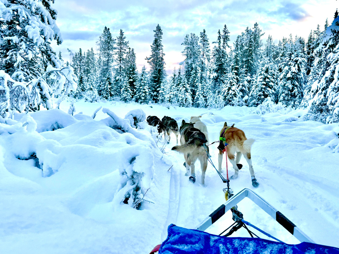 Northern Lights Resort & Spa主图