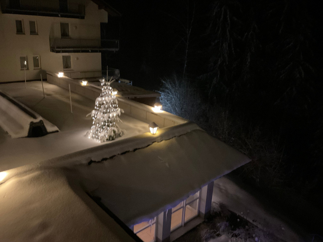 Belchenhotel Jaegerstueble主图