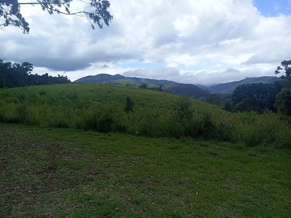 Araukaria Brazil - Monte Verde-蒙特贝尔德必去景点