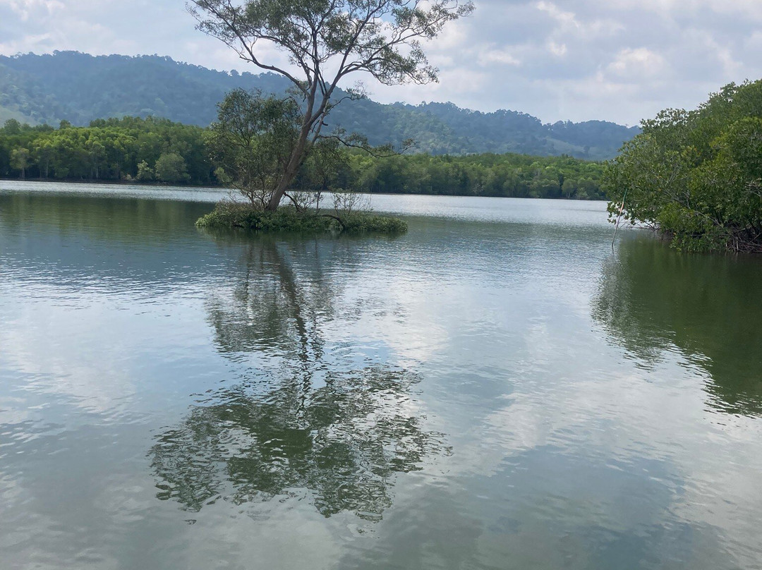 Thung Yee Pheng Mangrove Forest-兰塔岛必去景点