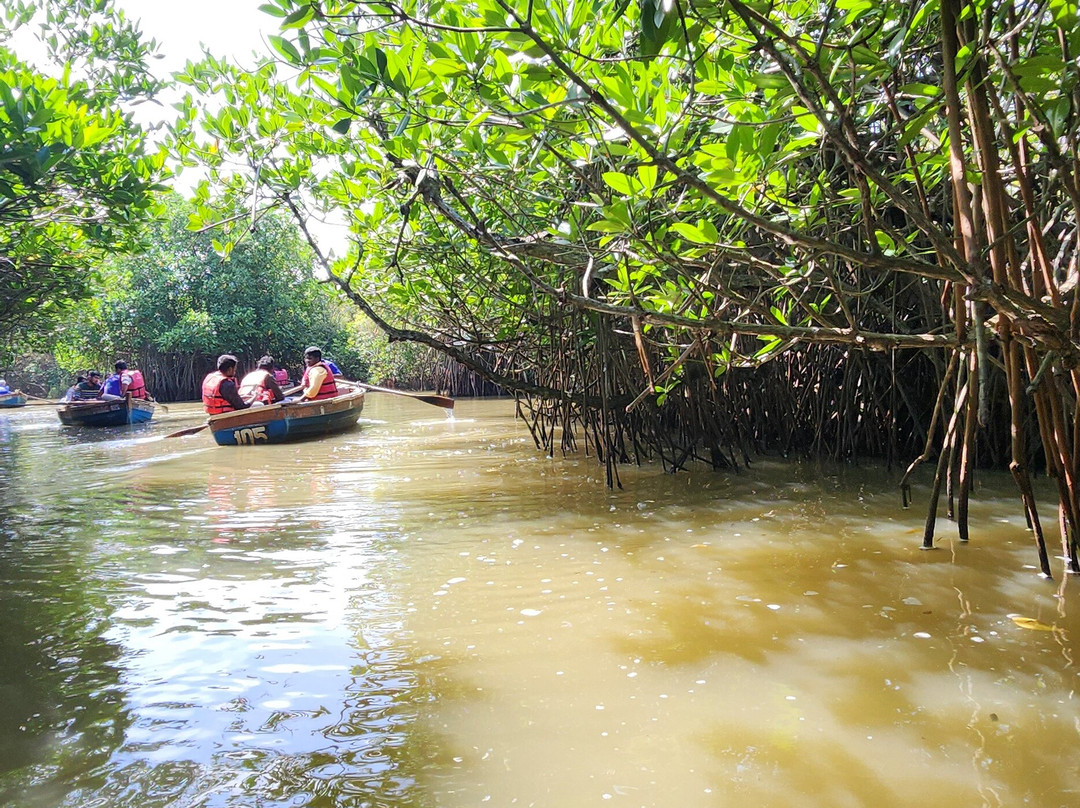 Pichavaram Mangrove Forest-Chidambaram必去景点