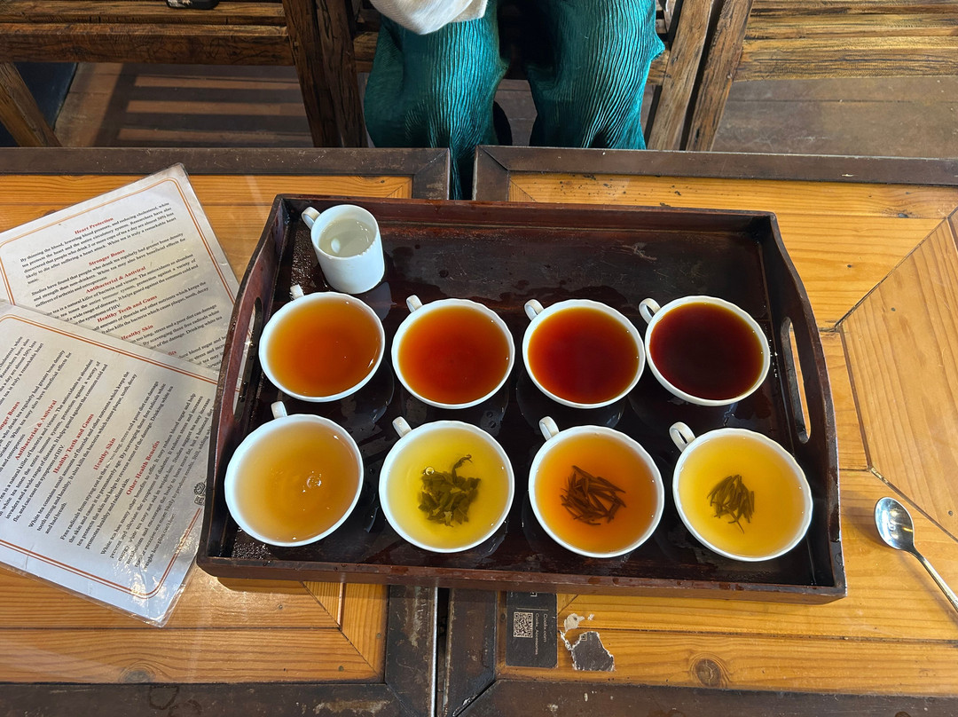 Milan M. Personal Driver Service Sri Lanka-锡吉里亚必去景点