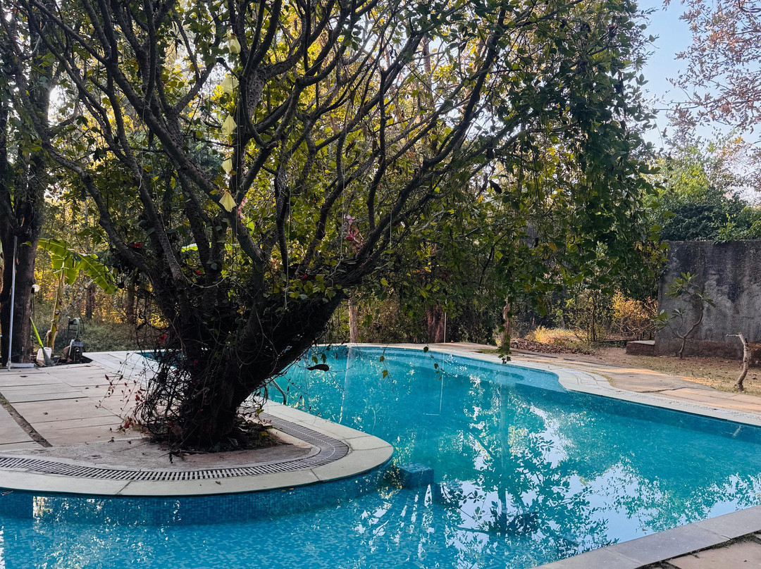 Mahua Vann Pench主图