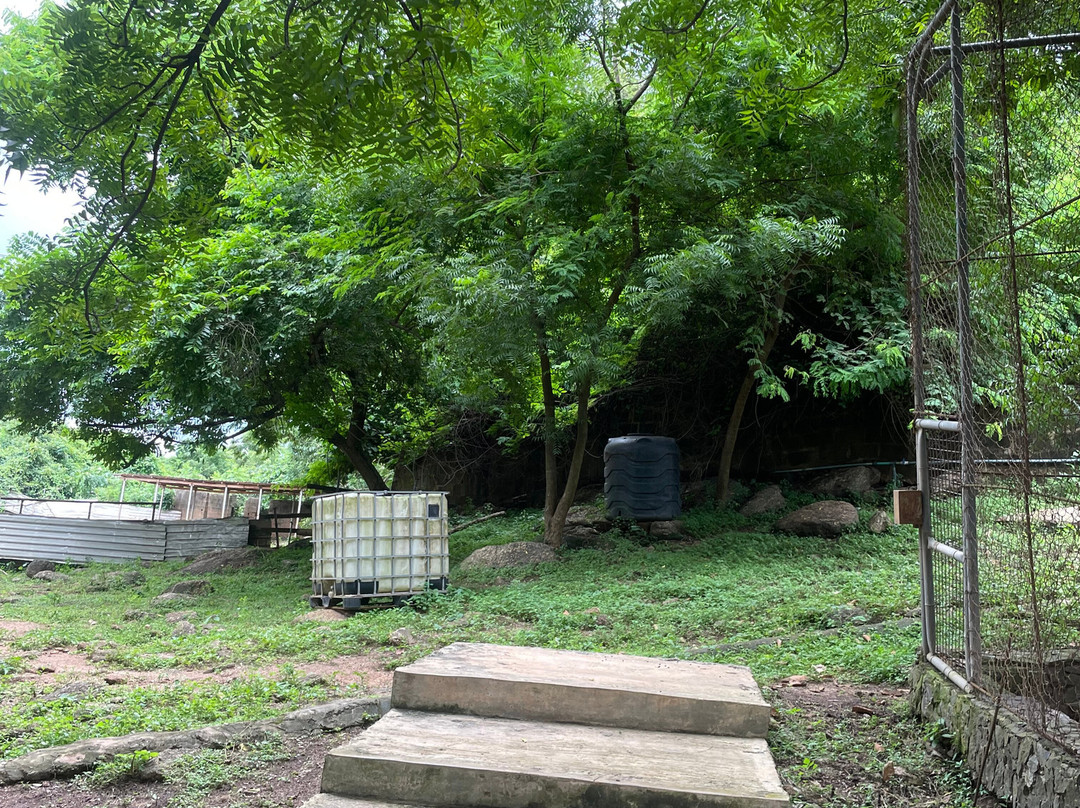 绿色遗产度假村主图