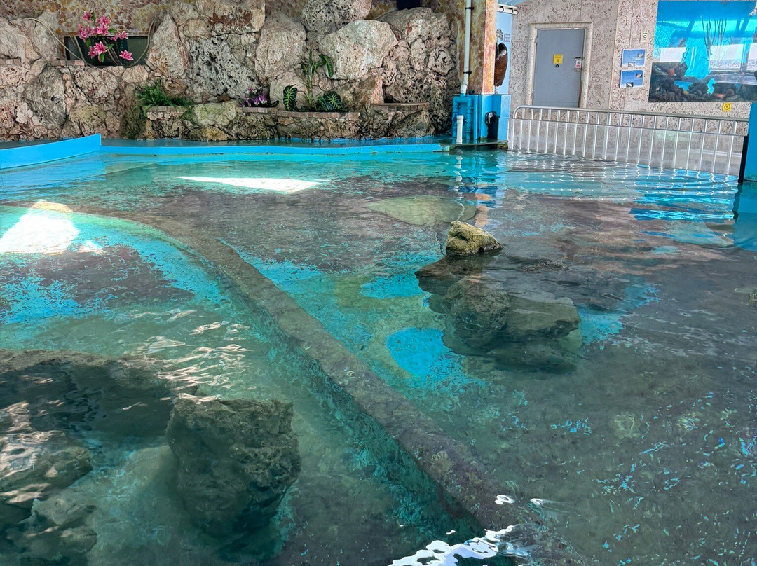 Aida Travel Services-威廉斯塔德必去景点