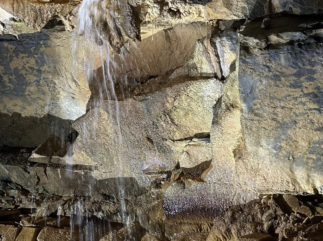 Aillwee Cave景点图片