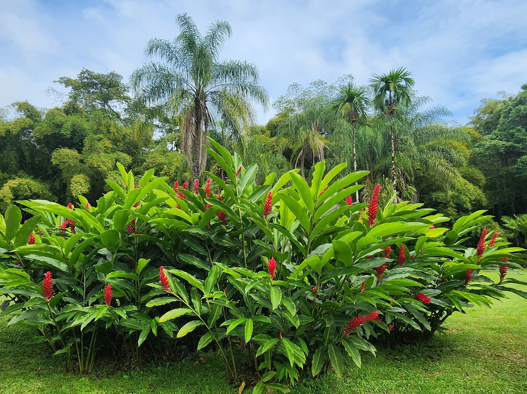 Habitation Saint-Etienne-Gros-Morne必去景点