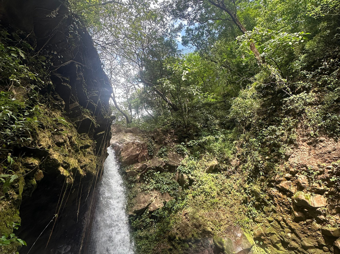 Rincon De La Vieja Volcano景点图片
