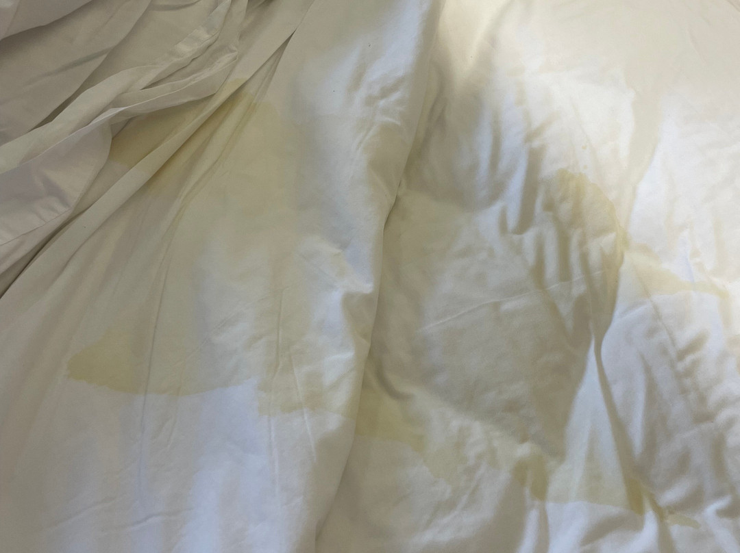 Microtel Inns & Suites by Wyndham Southern Pines / Pinehurst主图