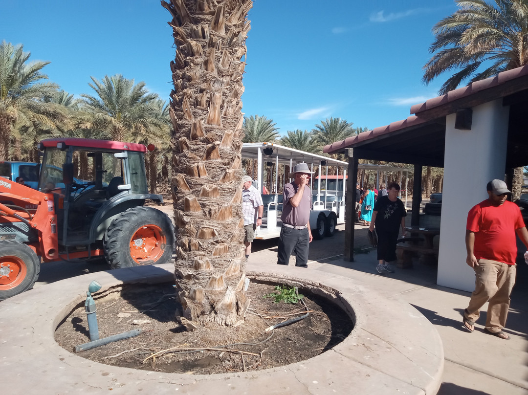 Martha's Gardens Medjool Date Farm-尤马必去景点