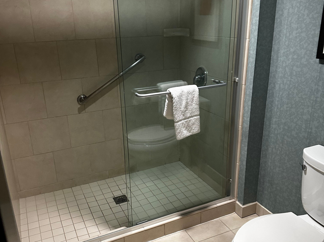 圣地亚哥卡尔斯巴德凯悦广场酒店主图