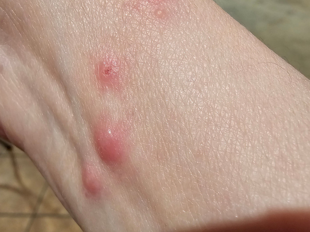 La Quinta Inn & Suites by Wyndham DFW Airport South / Irving主图