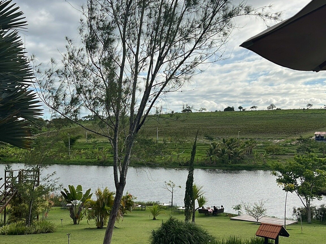 Vinícola Vale Das Colinas-Garanhuns必去景点