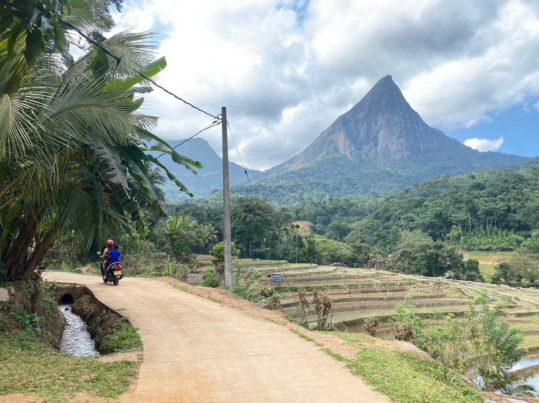 Sri Lanka Travel Partner景点图片