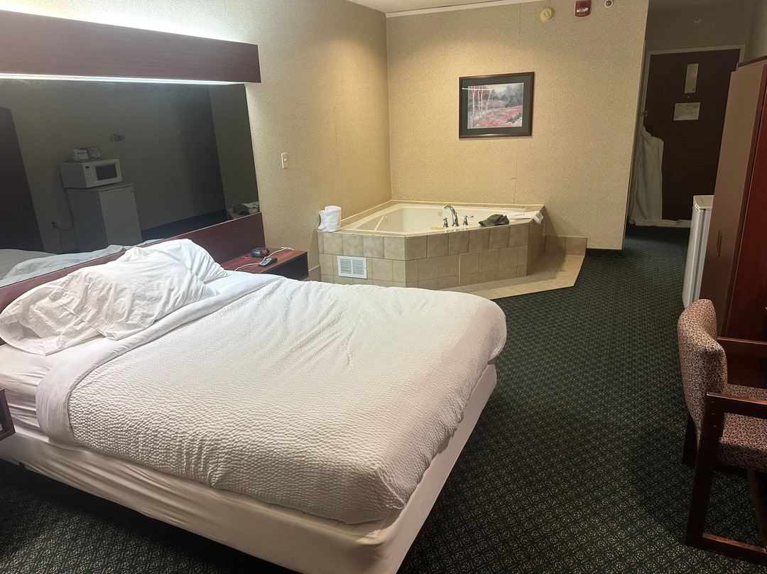 Microtel Inn & Suites by Wyndham Hamburg主图