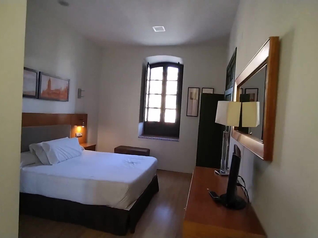 Hotel El Carmen主图