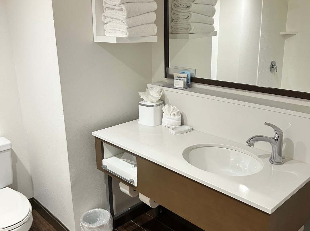 Hampton Inn Salem East-Electric Road主图