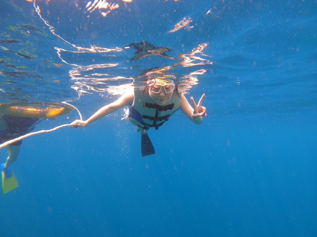 Snorkeling Diving Menjangan景点图片