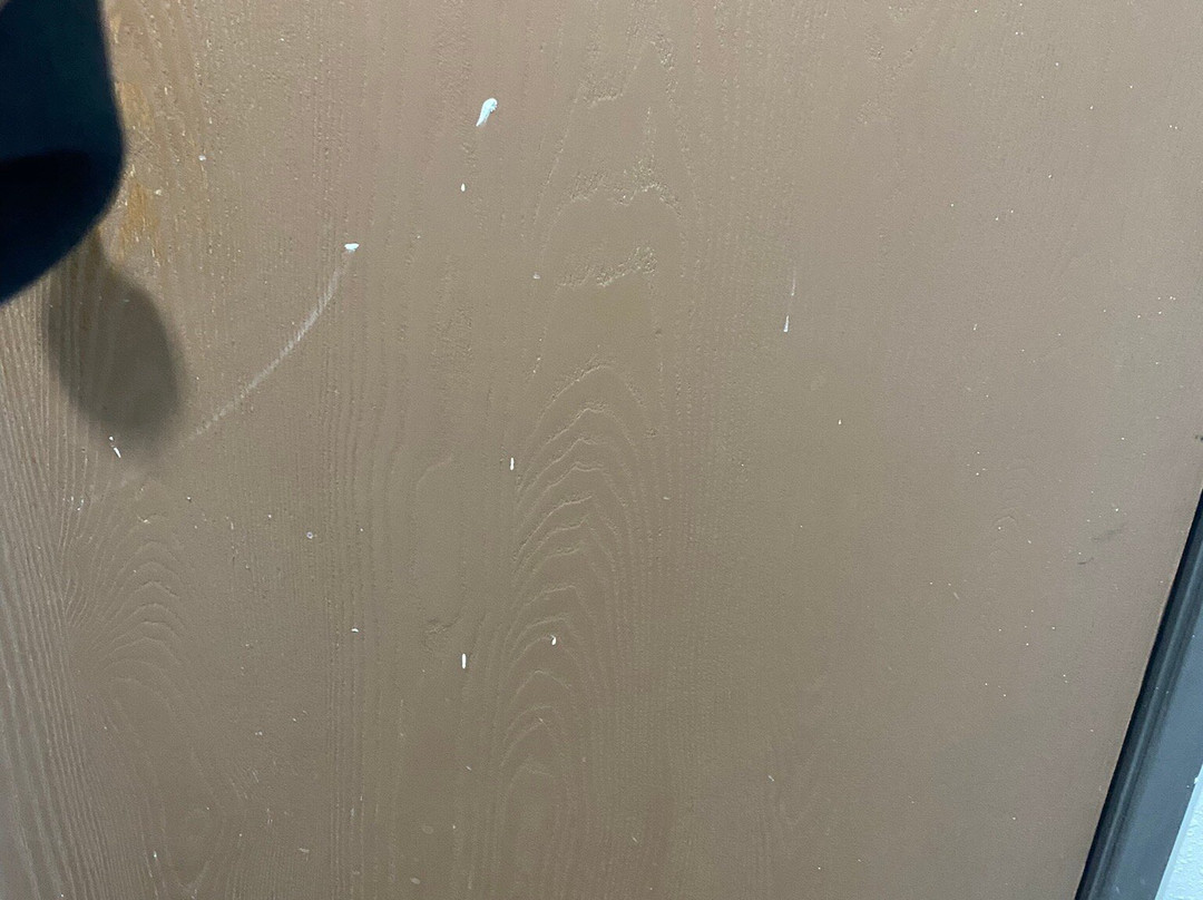 Quality Inn & Suites主图