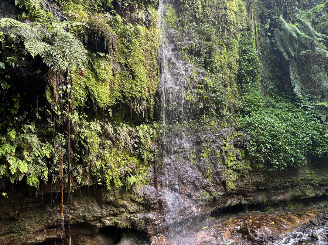 Mount Meru Waterfall-阿鲁沙必去景点