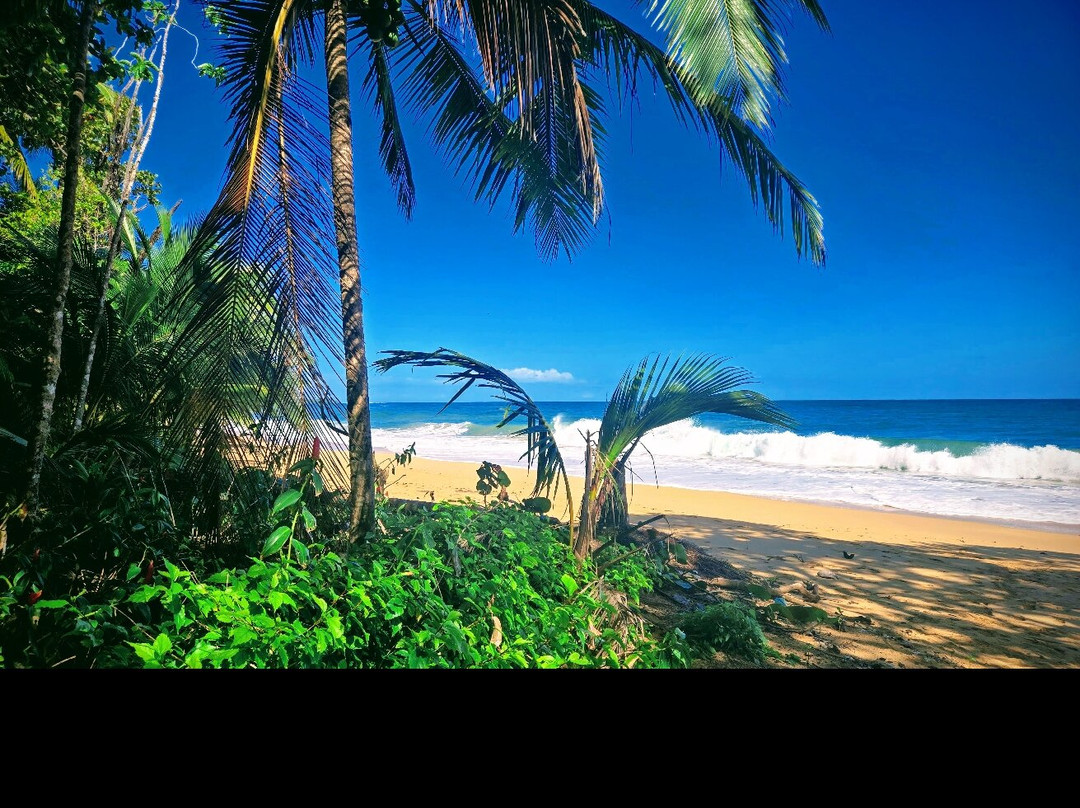 Playa Bluff景点图片