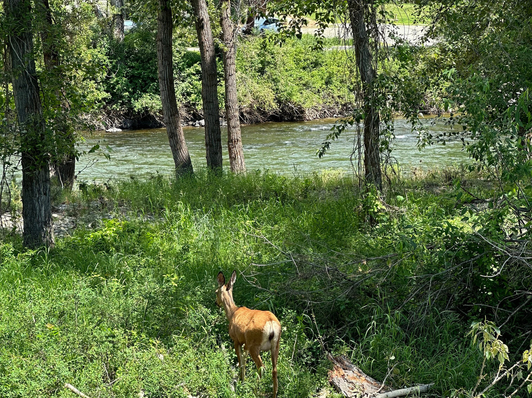 Methow River Lodge & Cabins主图