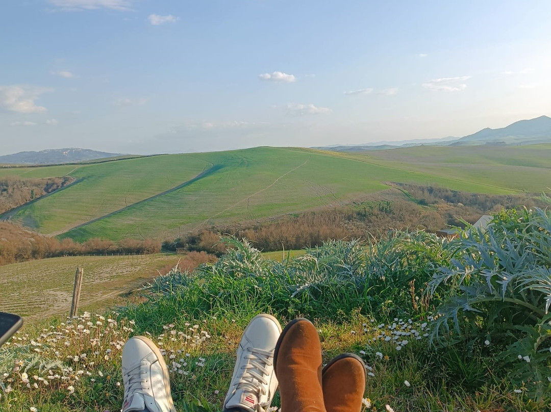Diacceroni Agriturismo Biologico主图