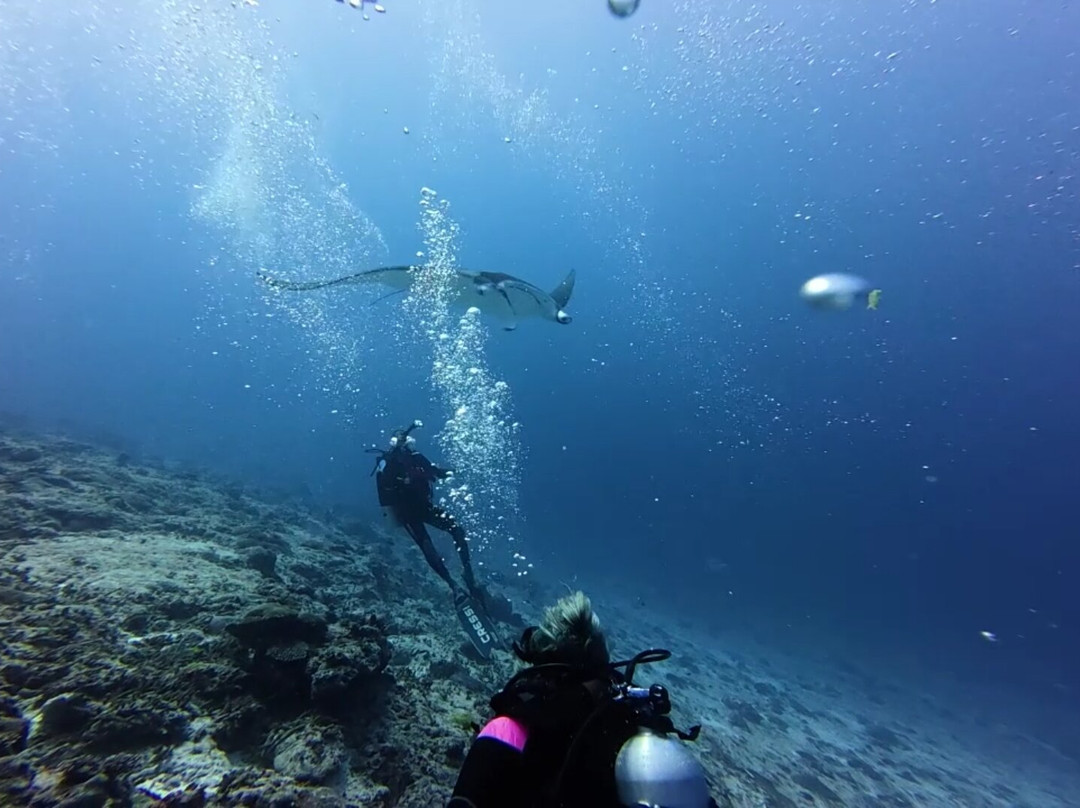Addu Scuba Club景点图片