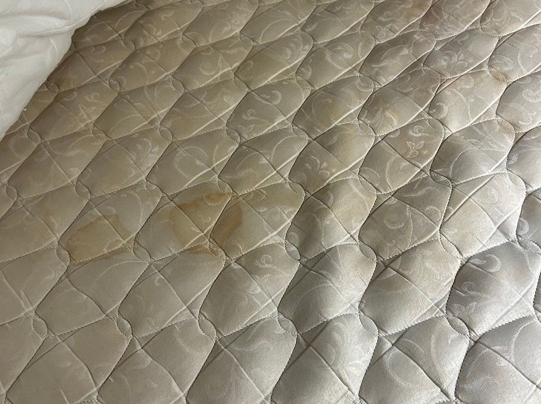 Residence Inn by Marriott Saginaw主图