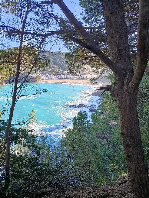Playa Sa Riera景点图片