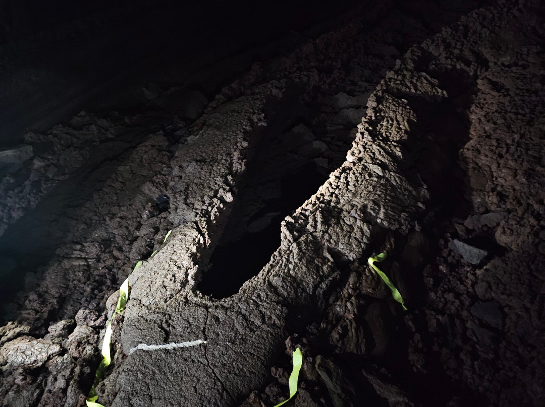 Kazumura Cave Tours-希洛必去景点