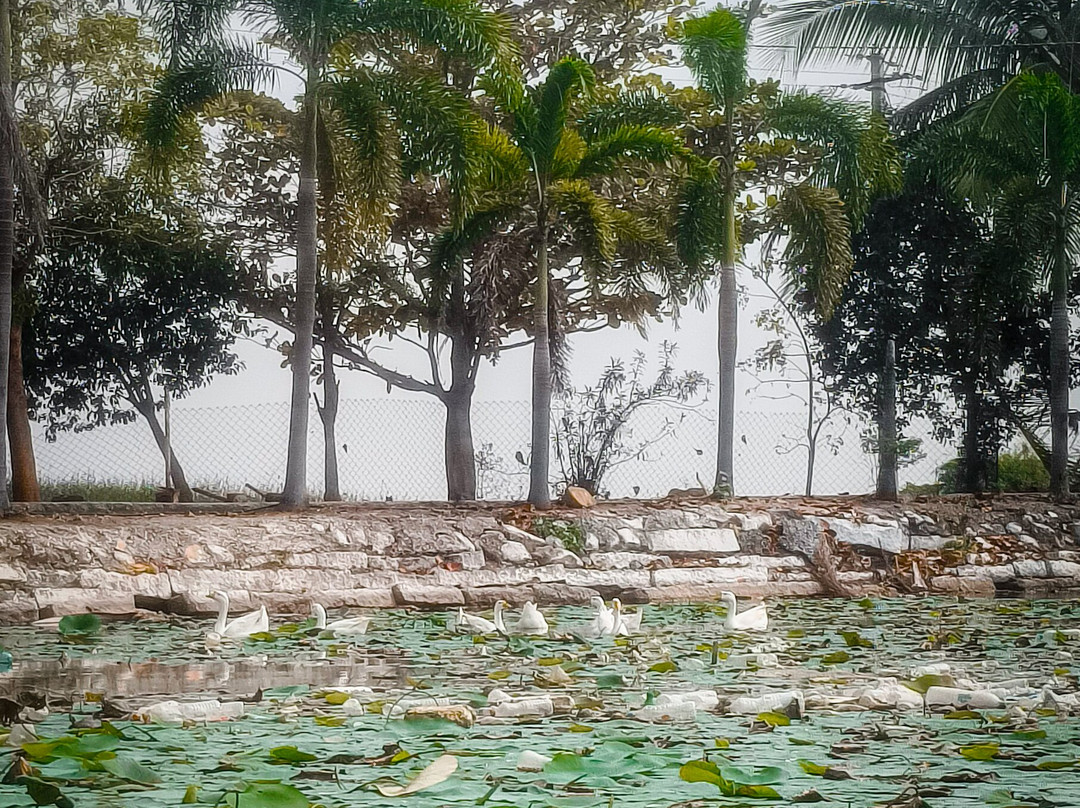 Chaya Someswara Temple景点图片