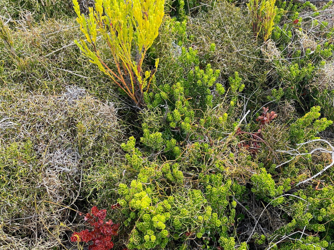 Sharp Point-奥尔巴尼必去景点