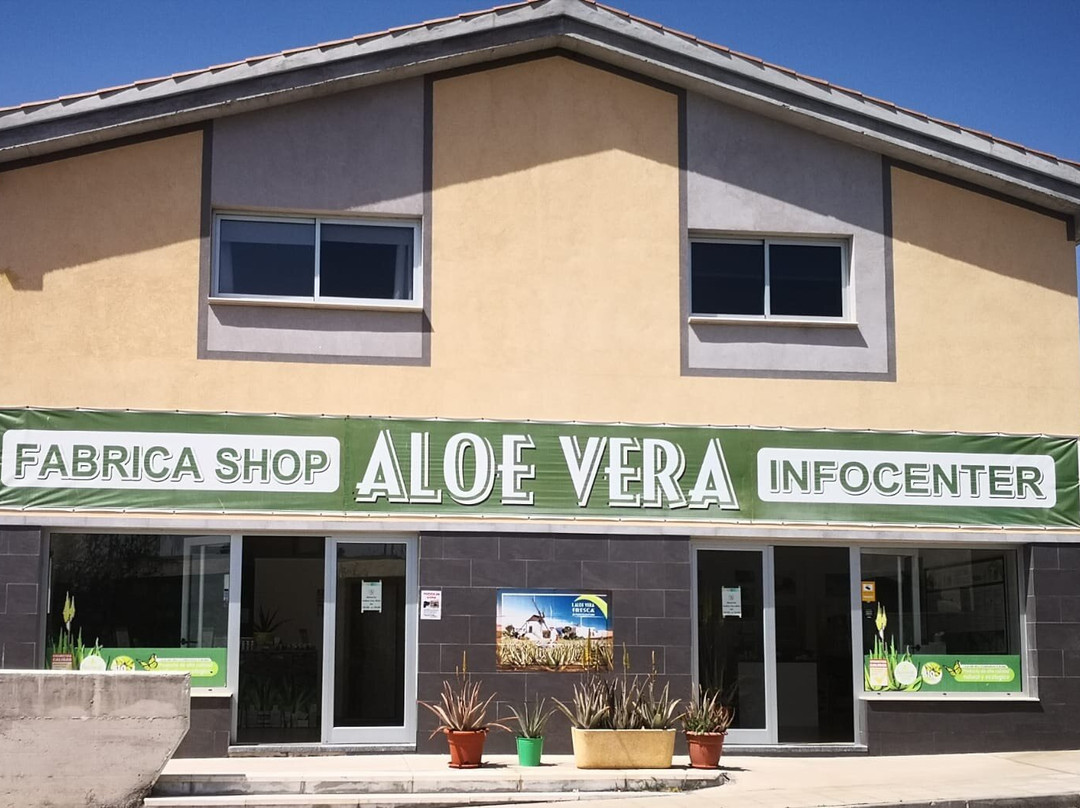 Aloe Vera Fresca Fábrica Shop