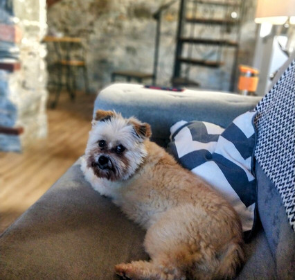 Burford Lodge Guest House主图