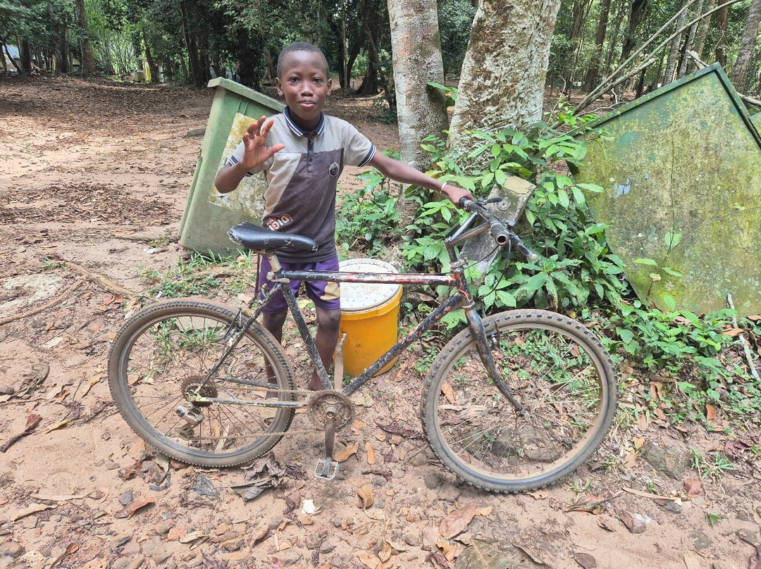 Association Afric Art-阿比让必去景点