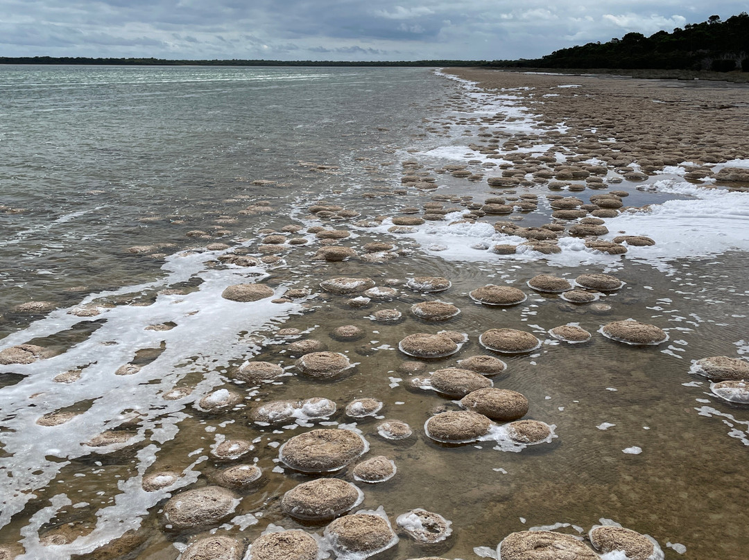 Lake Clifton-Yalgorup National Park必去景点
