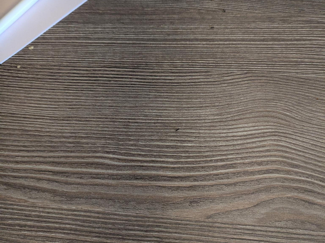 Beachfront Inn主图