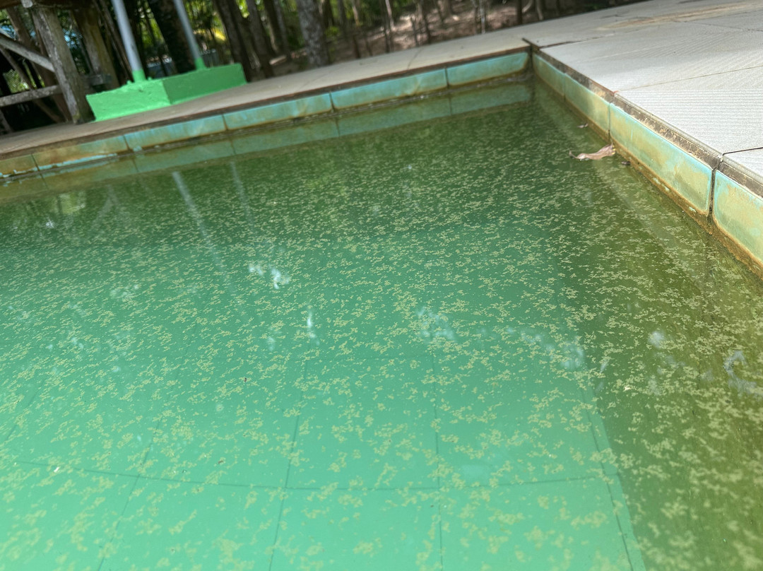 Saline Hot Spring Khlong Thom景点图片