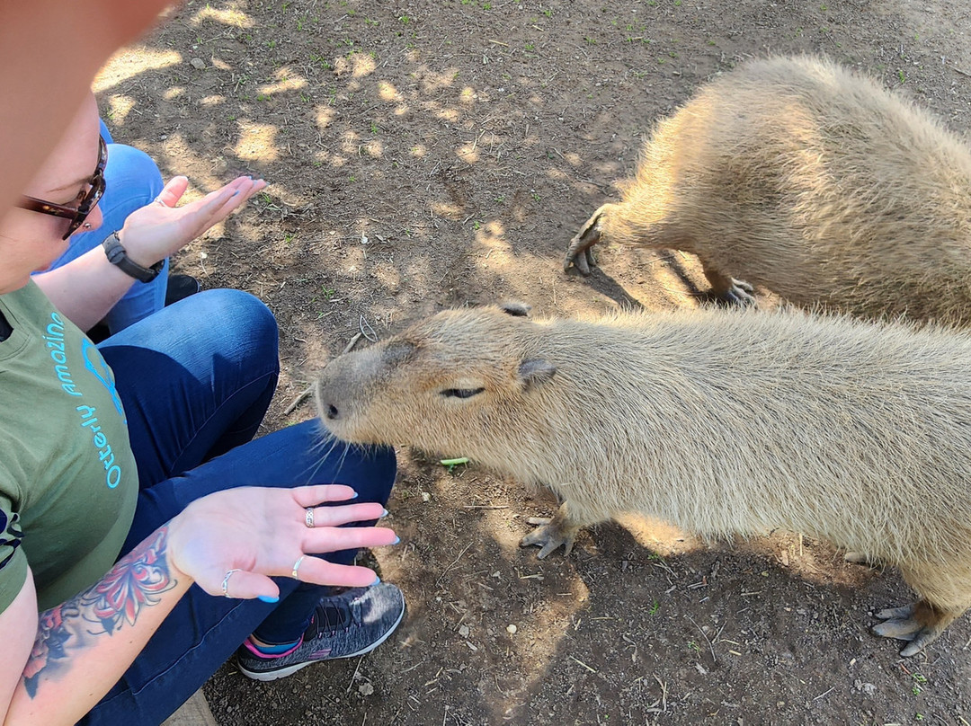 Nurtured By Nature-瓦利森特必去景点